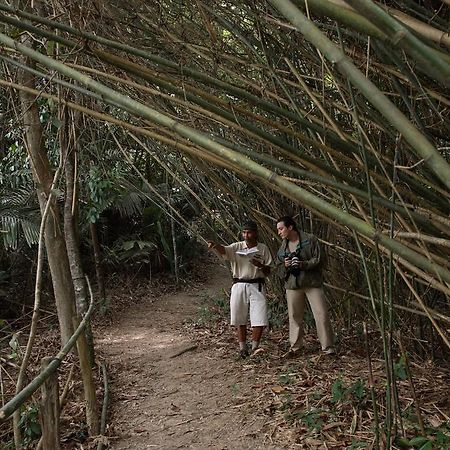 Tanjong Jara Resort, Terengganu - A Small Luxury Hotels Of The World Dungun Ngoại thất bức ảnh Bamboo forest in the park