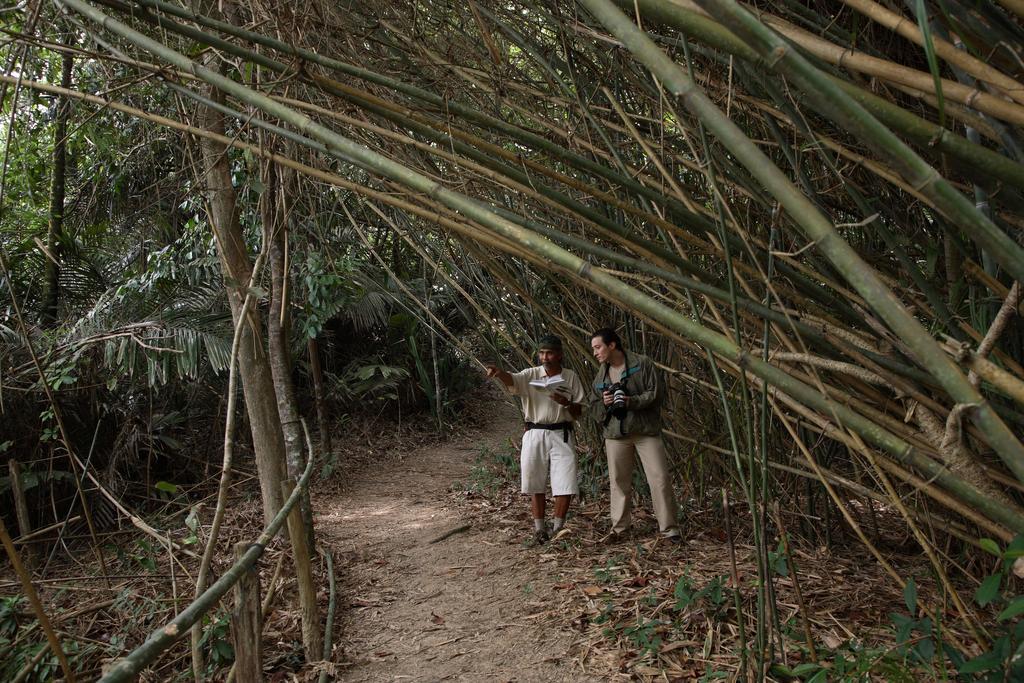 Tanjong Jara Resort, Terengganu - A Small Luxury Hotels Of The World Dungun Ngoại thất bức ảnh Bamboo forest in the park